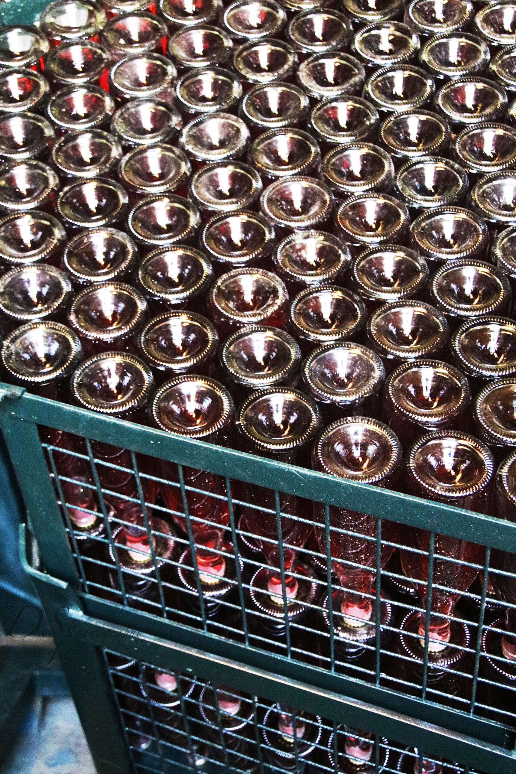 Today in photos: Disgorging the RFE Rose Sparkling