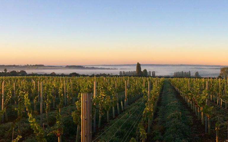 First bottle of sparkling wine in the UK with a 100% carbonneutral closure…